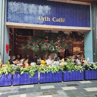 Urth Caffe, photo 4