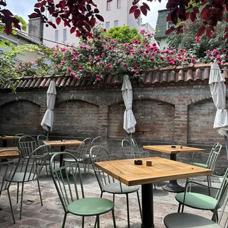 Smokvica Molerova, photo 5
