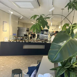 Salvo, photo 5