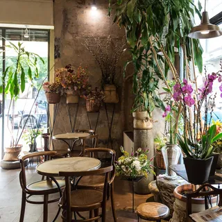 Fioraio Bianchi Caffè, photo 3