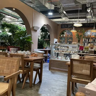 Harvest & Co - Dubai Garden Centre, photo 2