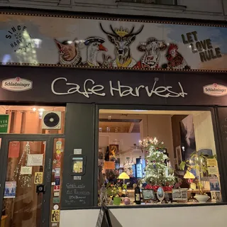 Cafe Harvest, photo 3