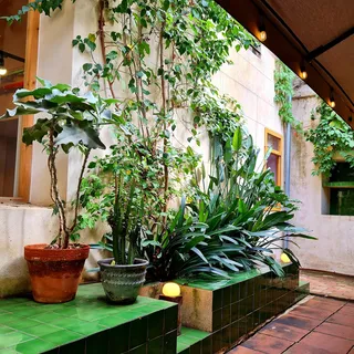 La Central del Raval, photo 4